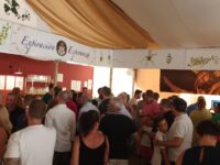 Fotos y vídeos de la Feria de Linares 2022 (Primera parte).